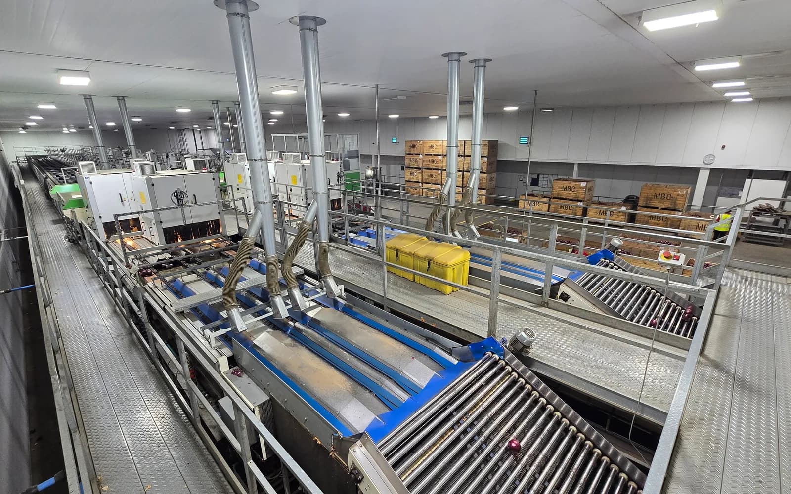 The grading hall at Moulton, with optical grading lines and conveyors running